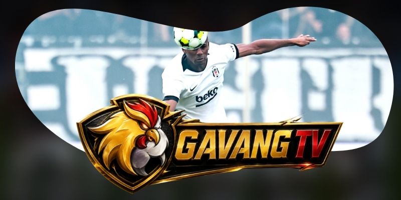 Nhận định kèo Besiktas JK vs Hradec Kralove 00h00 14/08