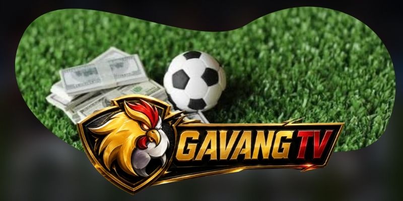 Câu hỏi thường gặp khi video trực tiếp gặp sự cố hiện nay