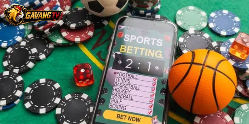 Kèo 0.5 Belgian League chốt chấp theo sân bằng dữ liệu riêng