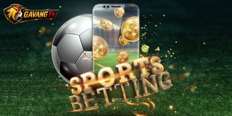Kèo Thẻ Scottish Premiership tách Team cards khỏi thẻ H1
