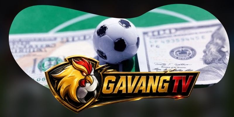 Bộ phận chăm sóc phân loại từng trường hợp rõ ràng