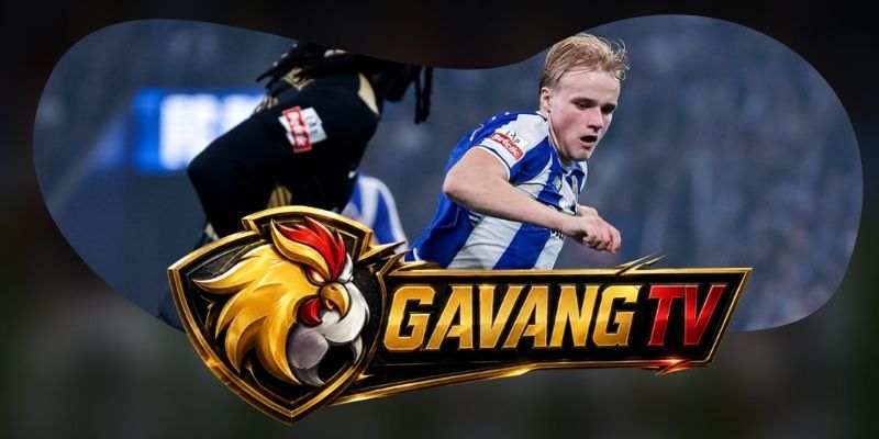 Nhận định kèo Rio Ave vs FC Porto 02h30 16/08