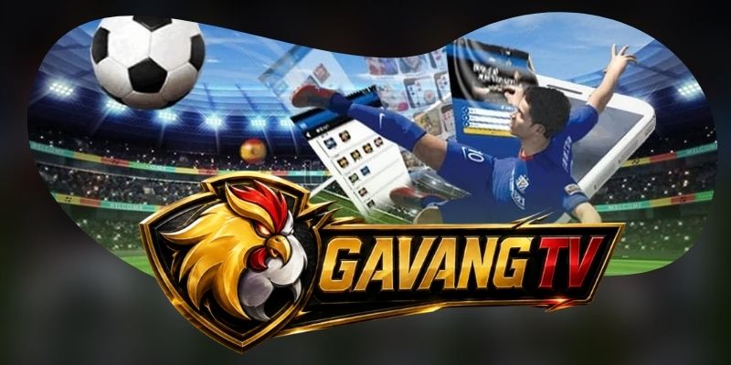 Tải app Gavang TV từ nguồn chính thức cho từng thiết bị