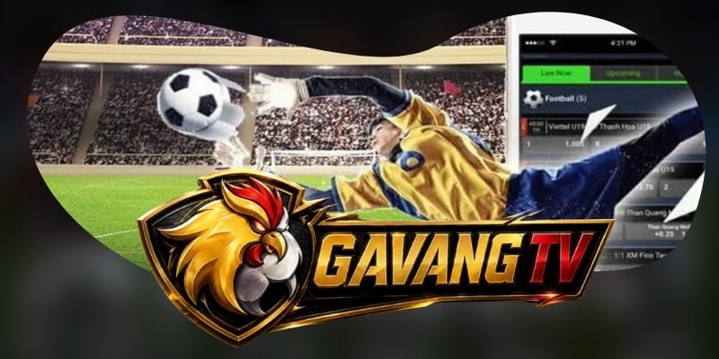 Ứng dụng kết nối trực tiếp, lịch và kết quả trong một luồng